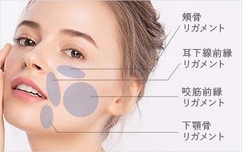 リガメント法のメカニズム