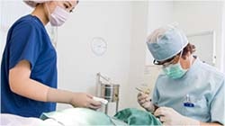 右の鼻の穴を切開し、鼻の下から上唇まで皮下剝離し耳介軟骨を挿入します。