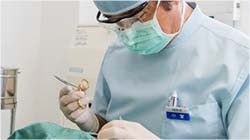 麻酔が効いたらスタートです。